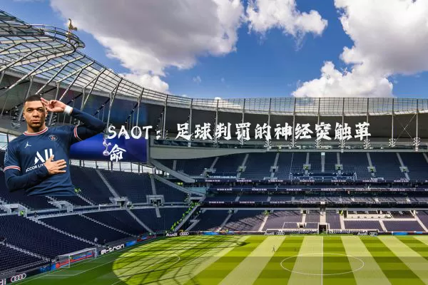 SAOT：足球判罚的神经突触革命